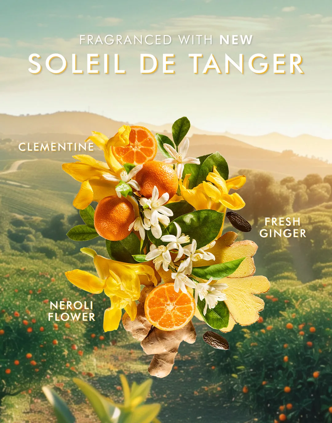 Hand Cream Soleil de Tanger